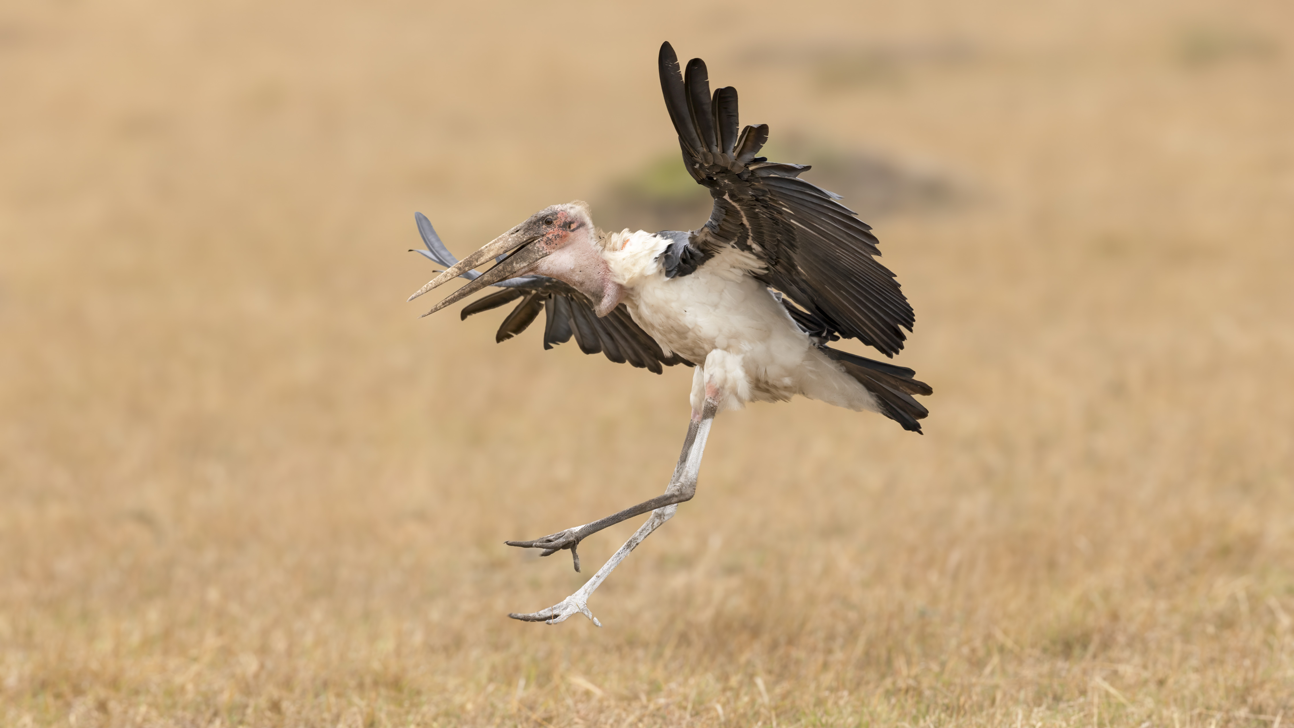 November 12, 2022-130909-7-Edit-Edit.jpg